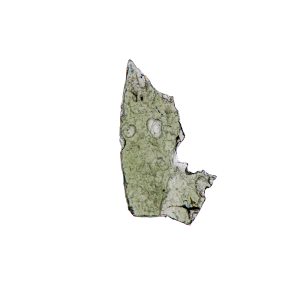 Moldavite 851